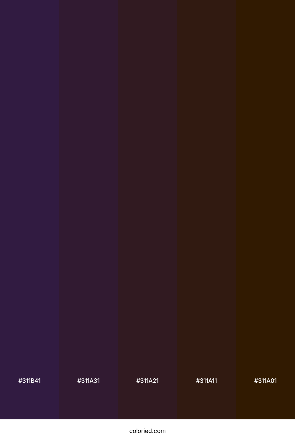 Deep Violet and Espresso Color Palette
