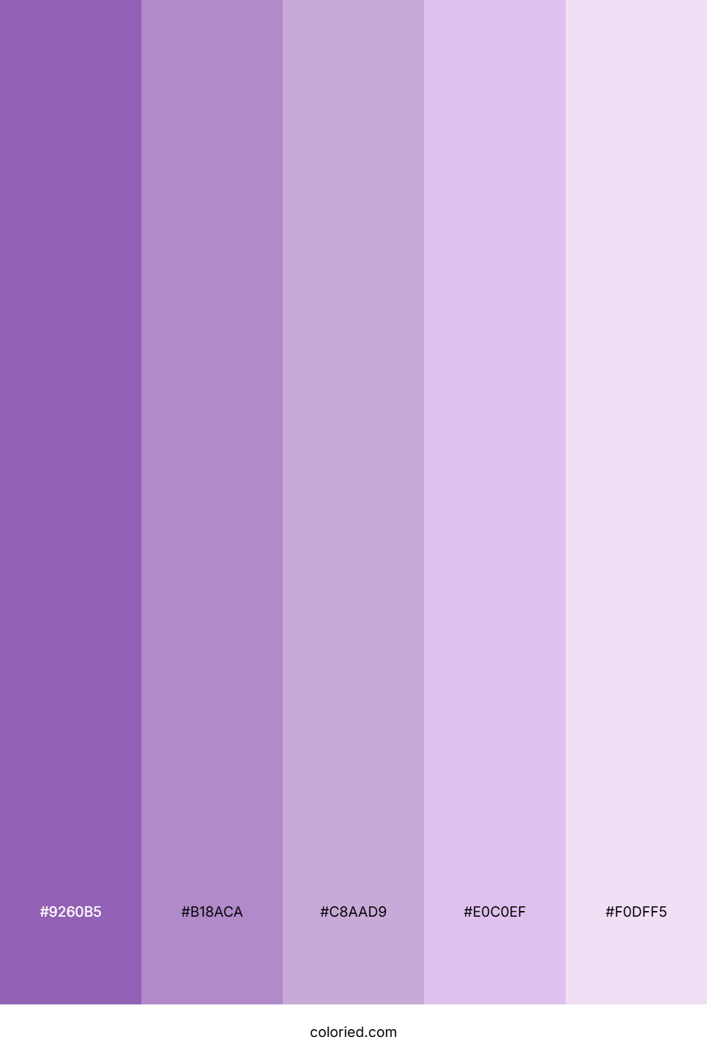 Deep Violet and Lilac Color Palette