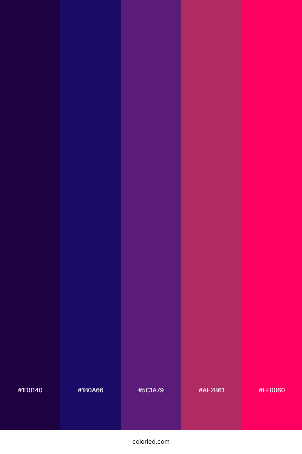 Deep Violet and Magenta Color Palette