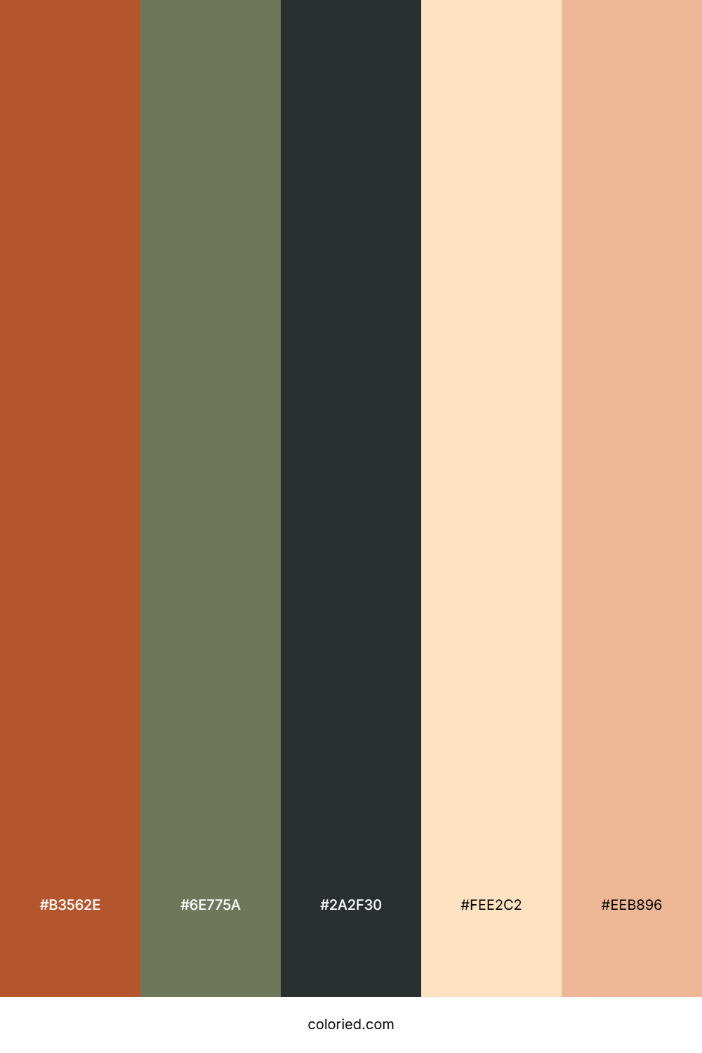 Desert Canyon Sunset Palette