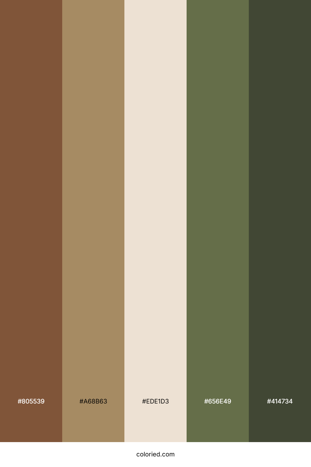 Desert Clay Horizon Color Palette