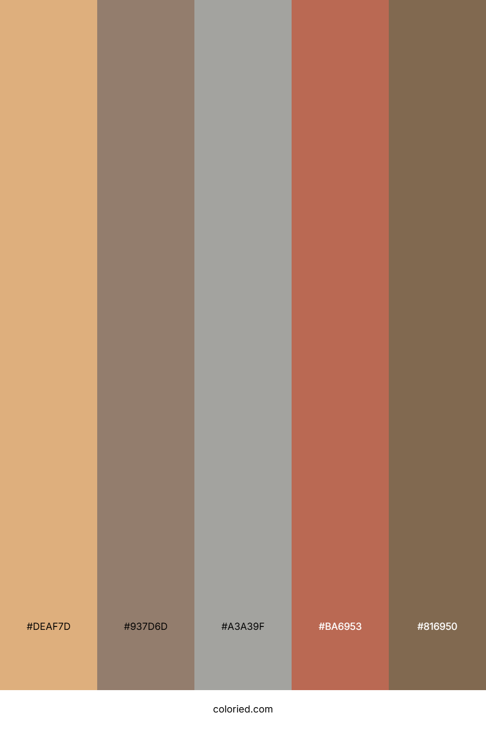 Desert Clay Palette