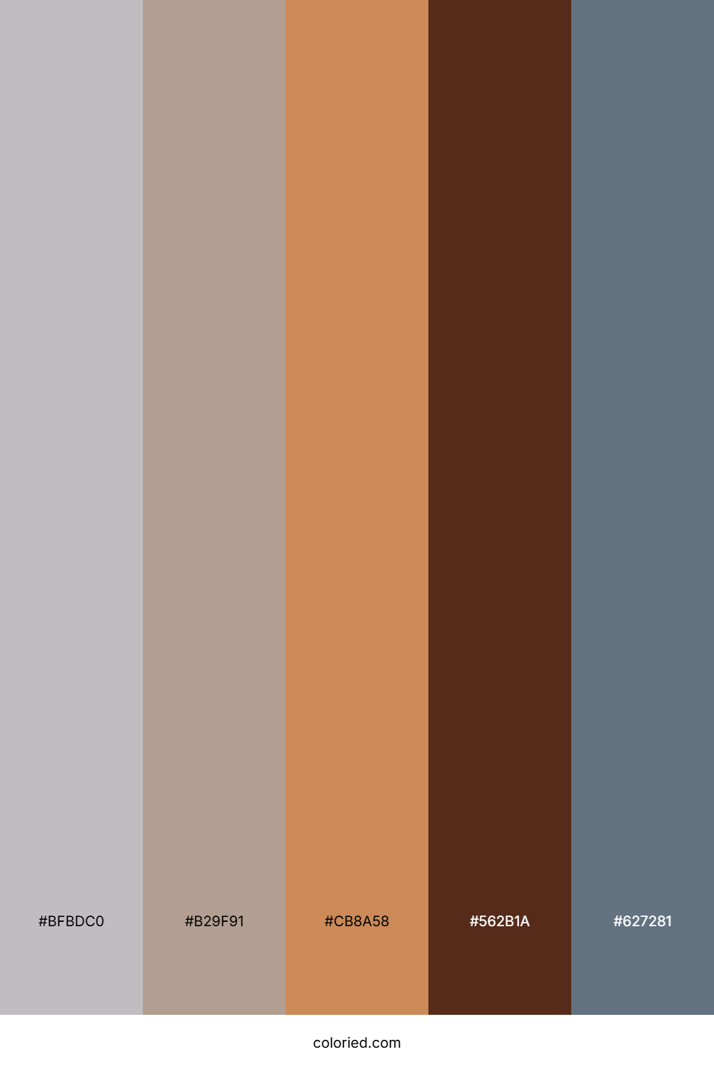 Desert Clay Twilight Palette