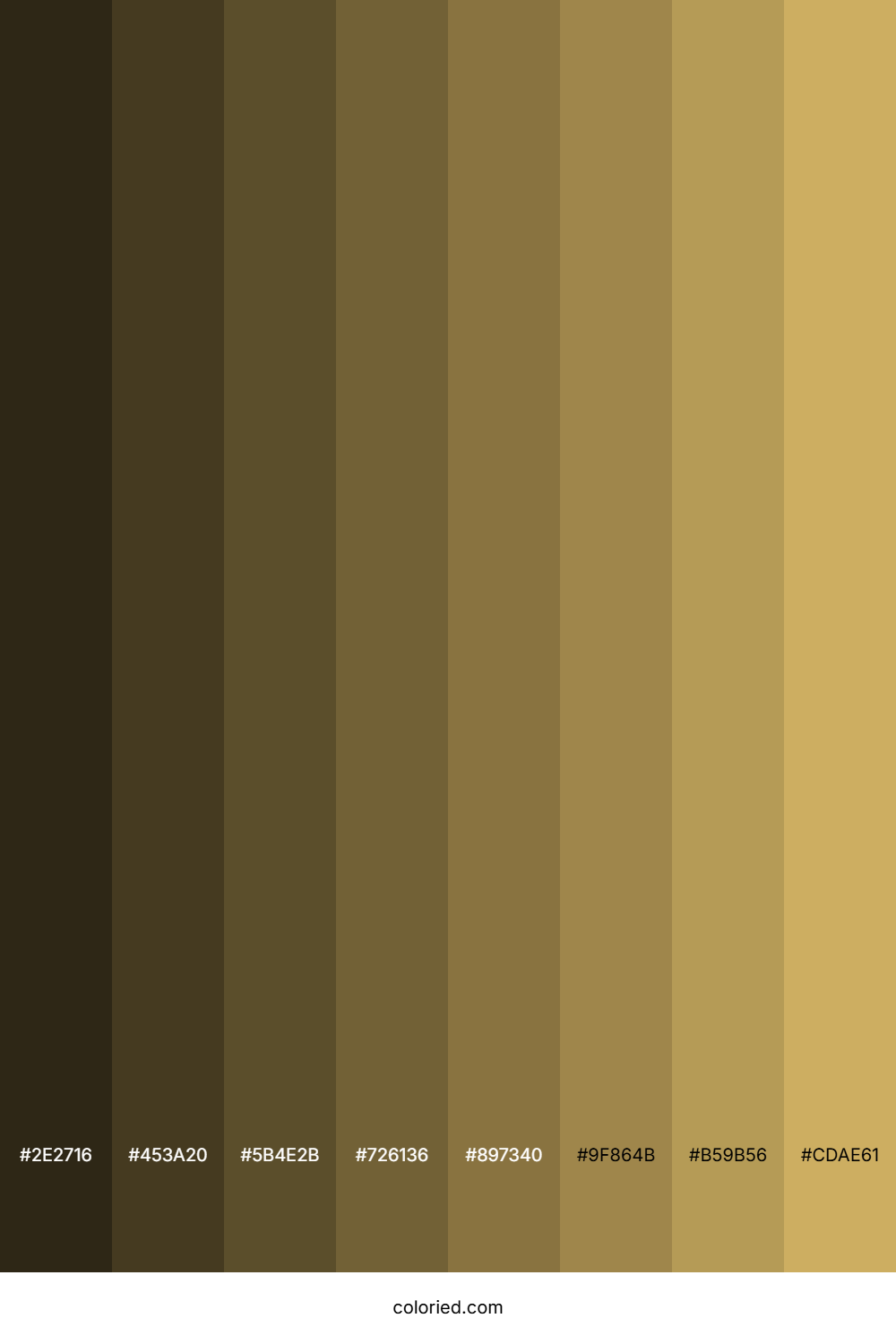 Desert Color Shades