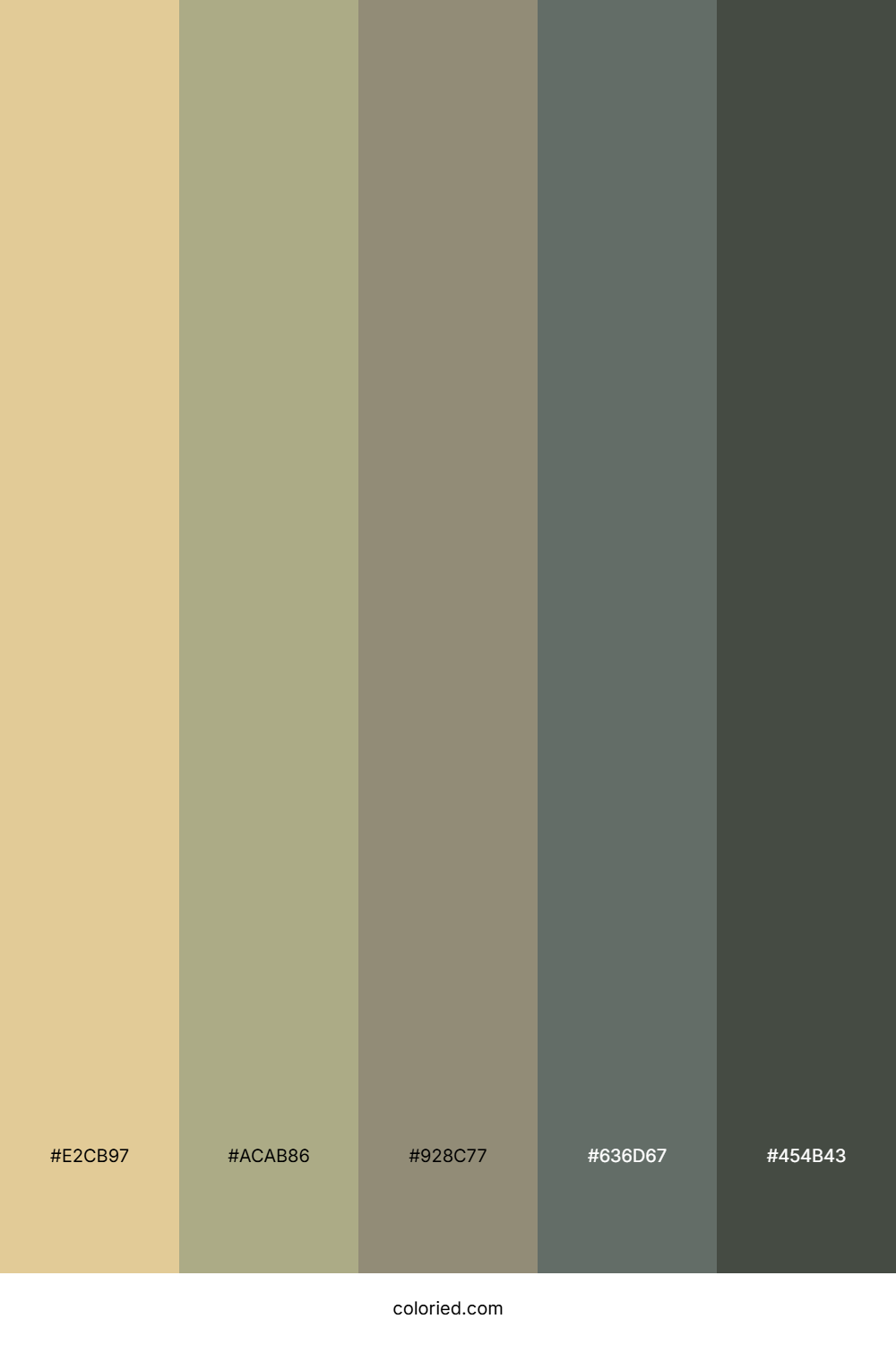Desert Dune Morning Palette