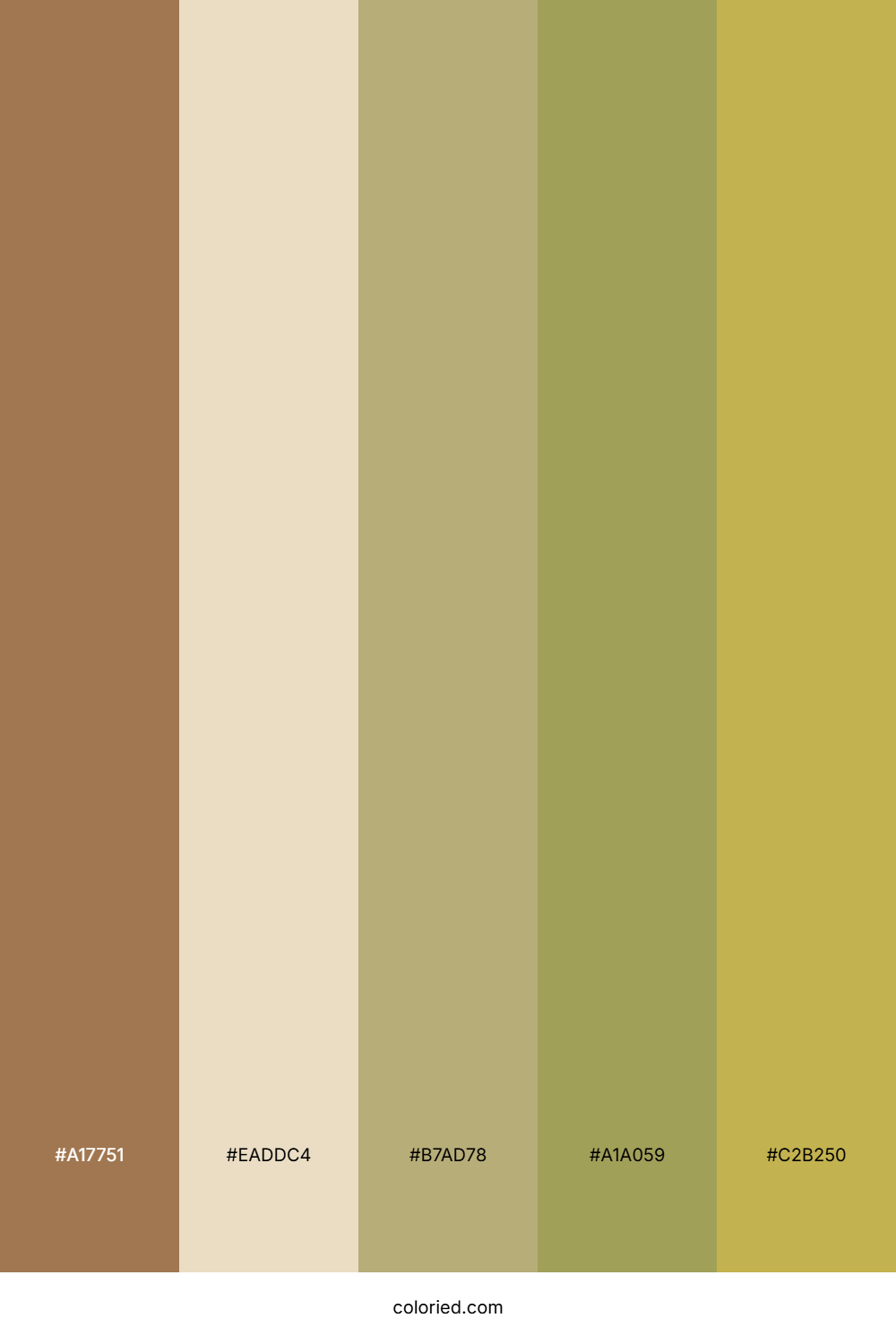 Desert Dune Sand Color Palette