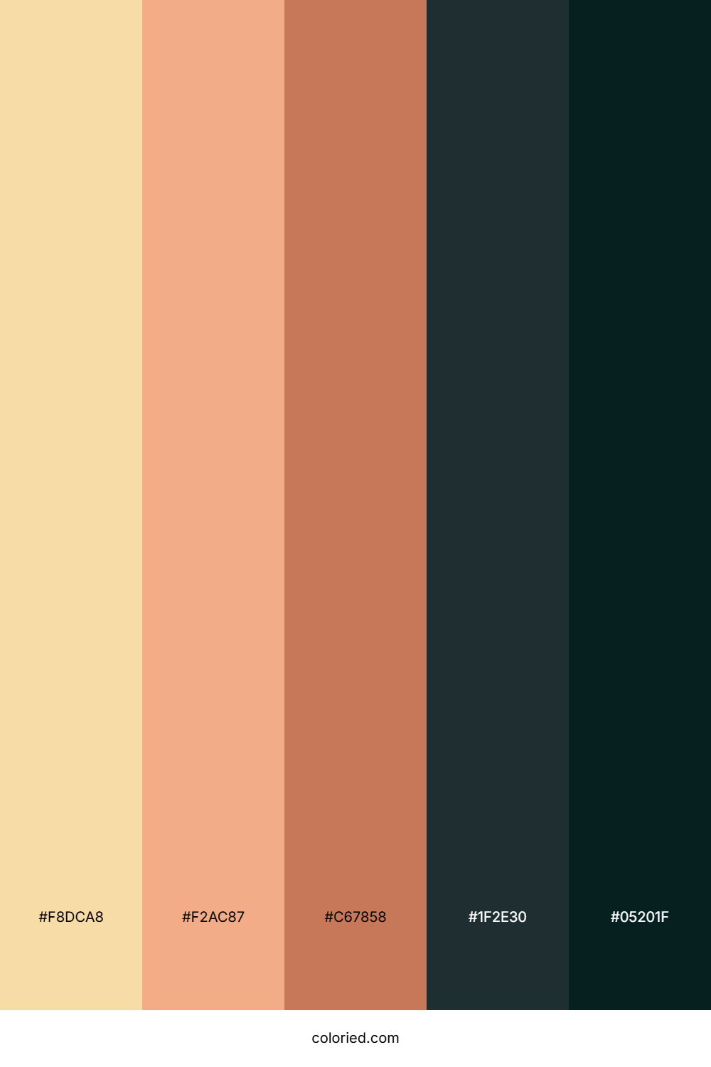 Desert Dune Sunset Color Palette