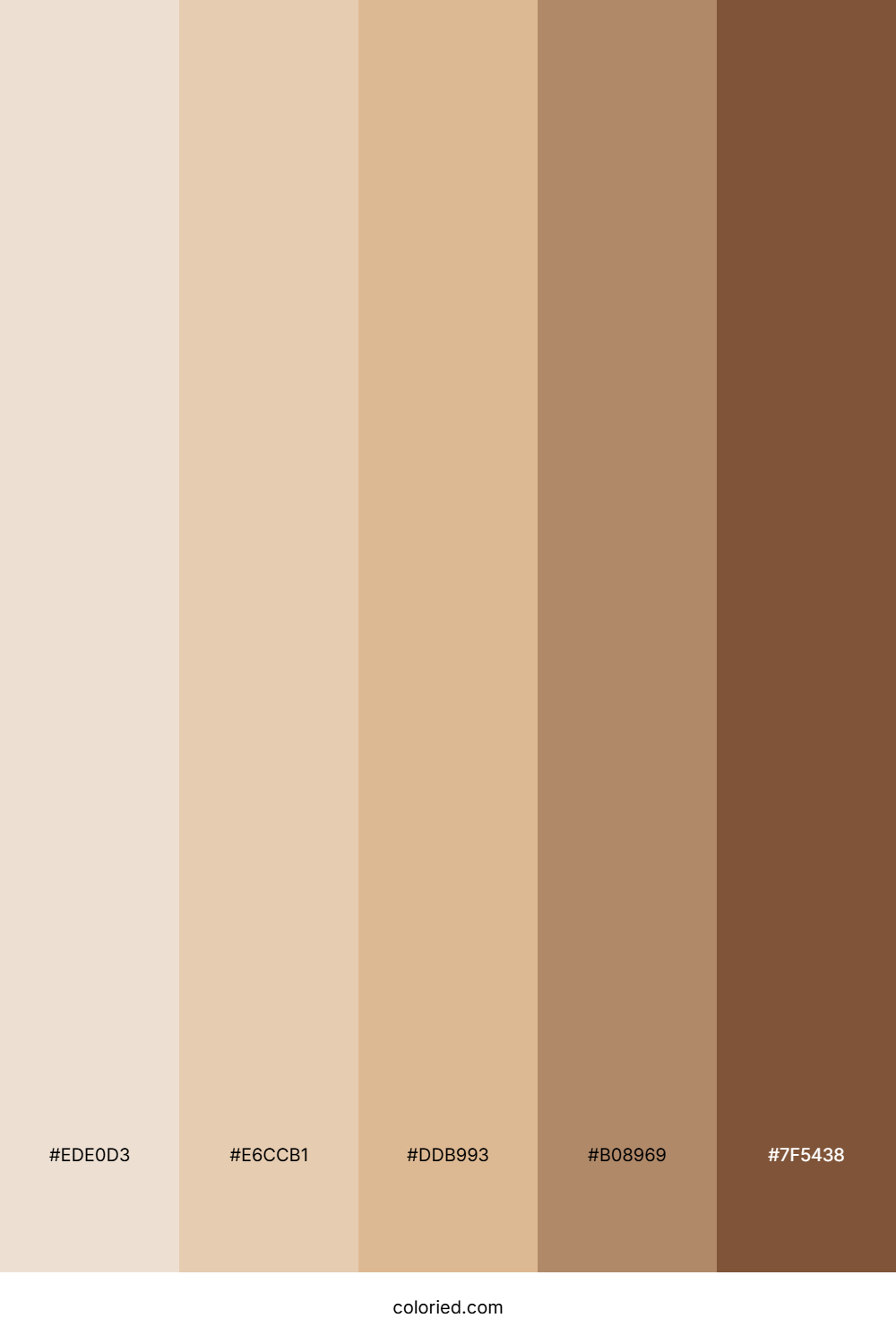 Desert Dune Twilight Color Palette