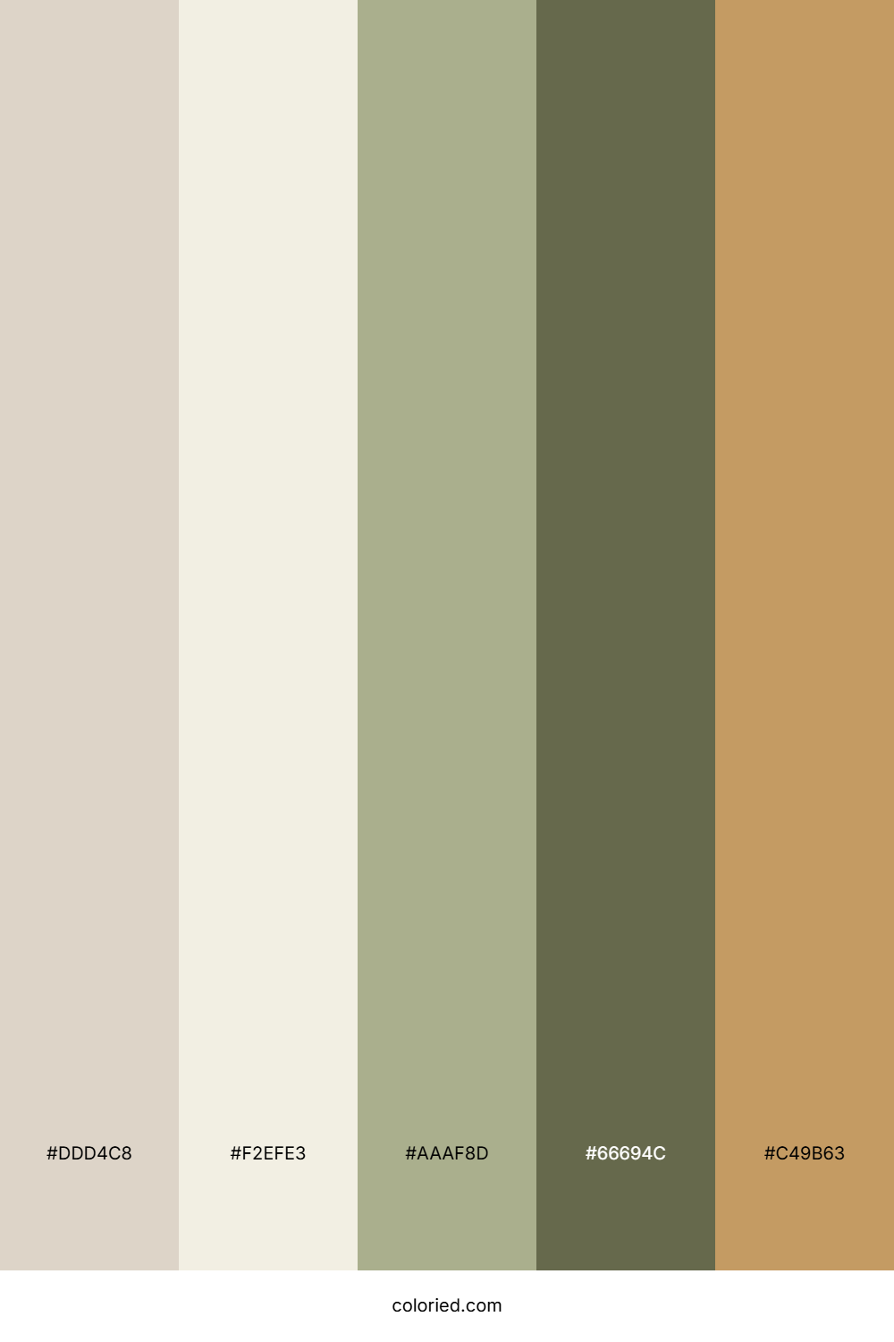 Desert Dune Wheat Color Palette