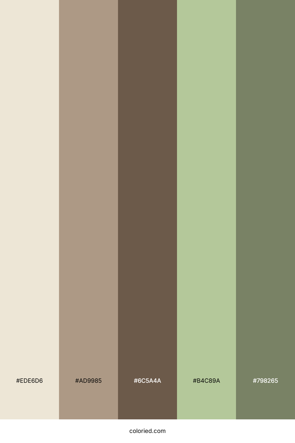 Desert Olive Color Palette