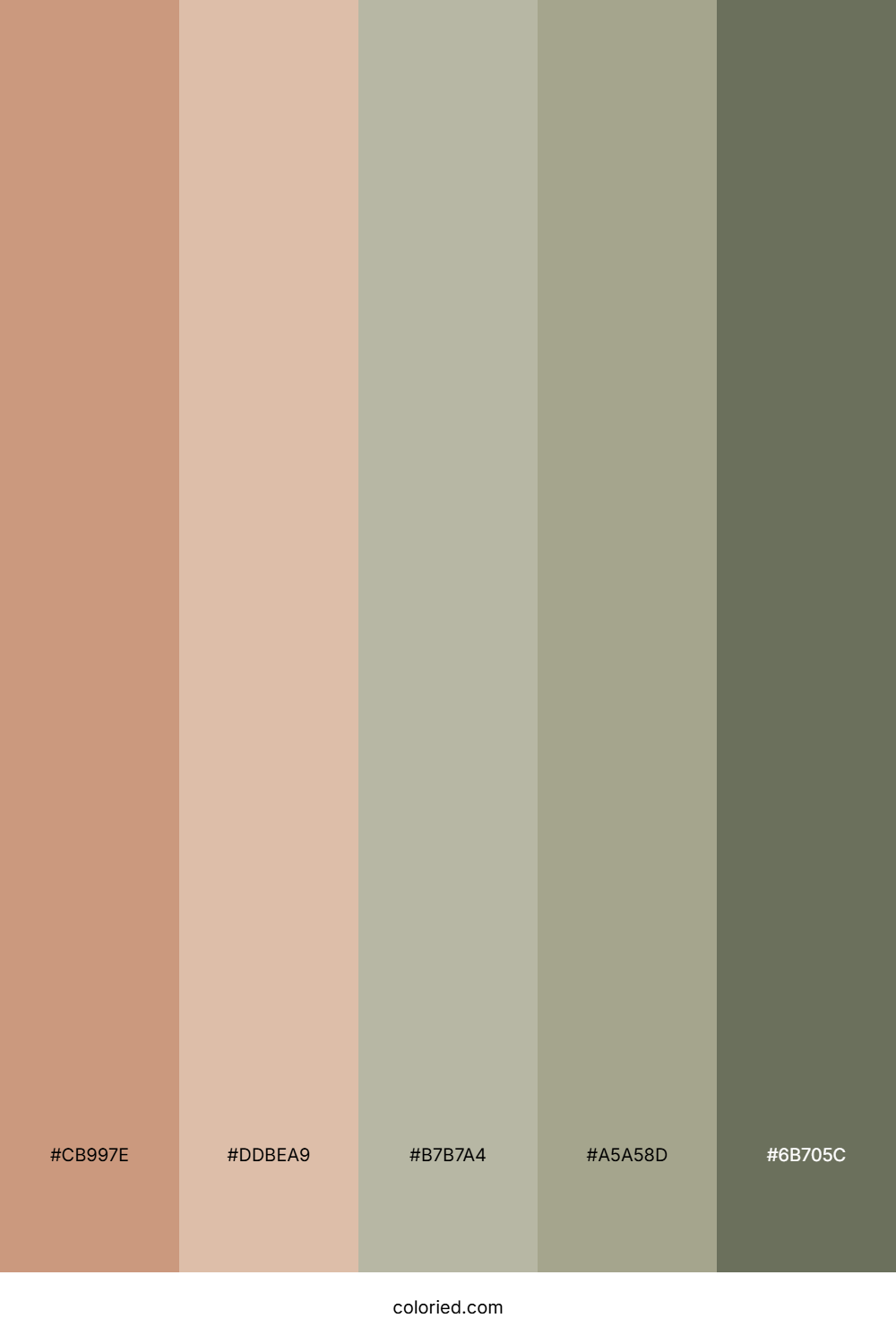 Desert Rose Clay Color Palette