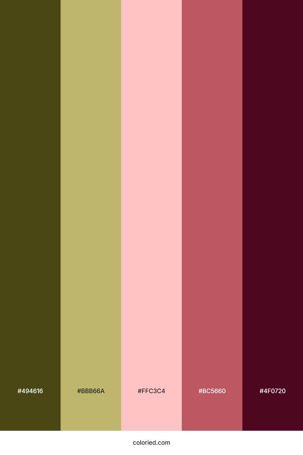 Desert Rose Fern Color Palette