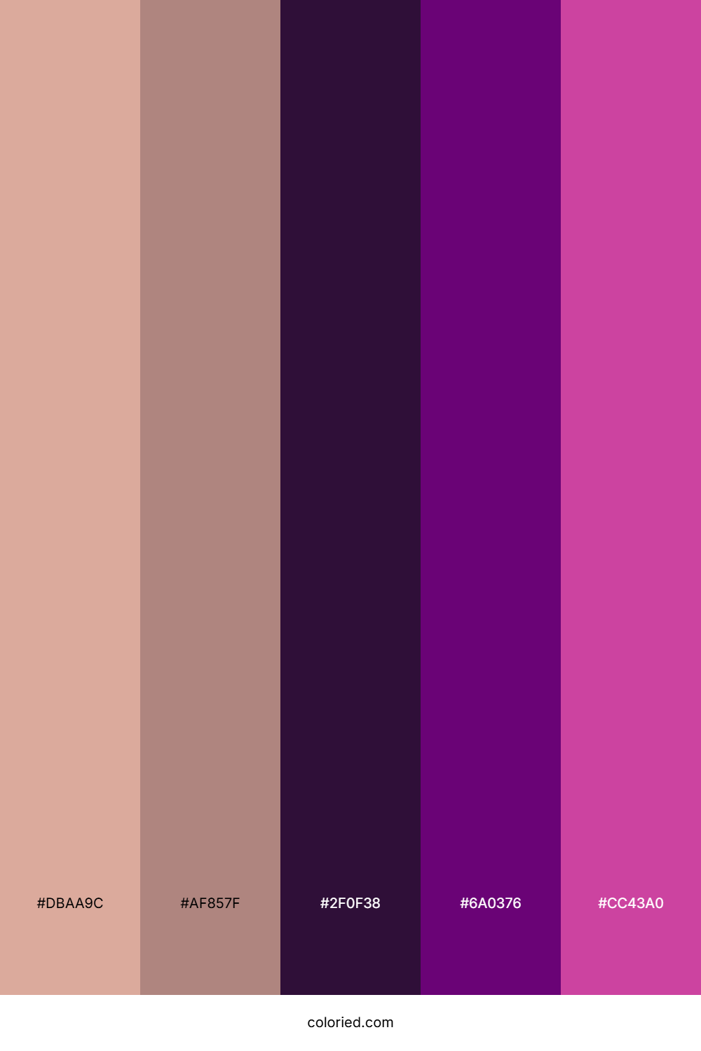 Desert Rose Twilight Color Palette