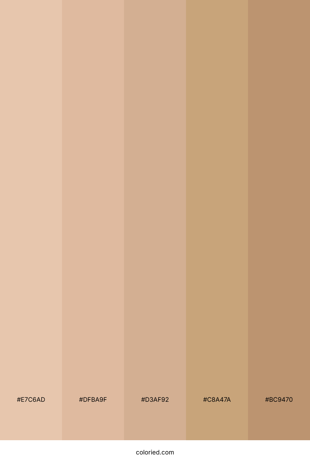 Desert Sand And Warm Brown Color Palette