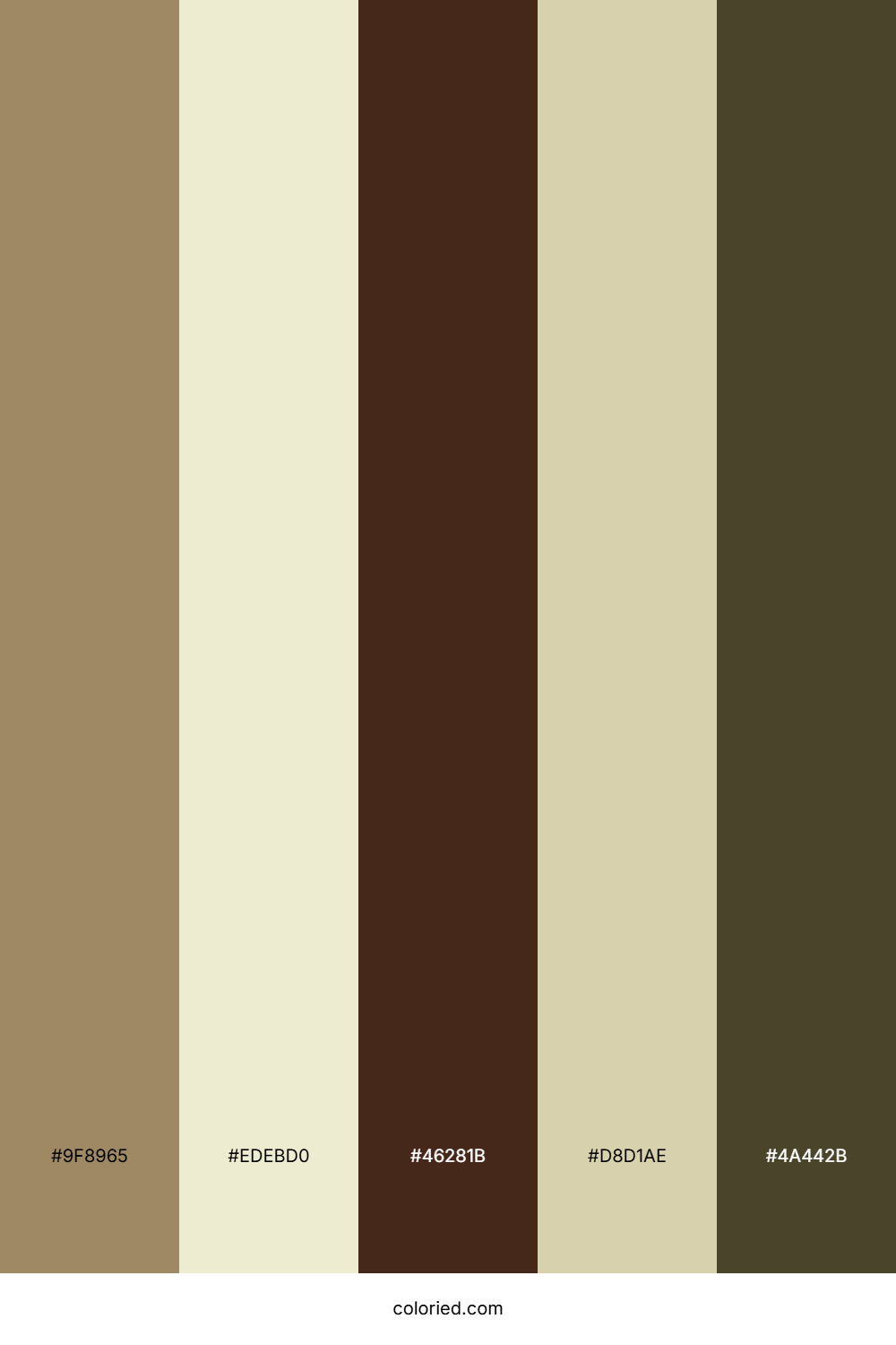 Desert Sand Dune Color Palette