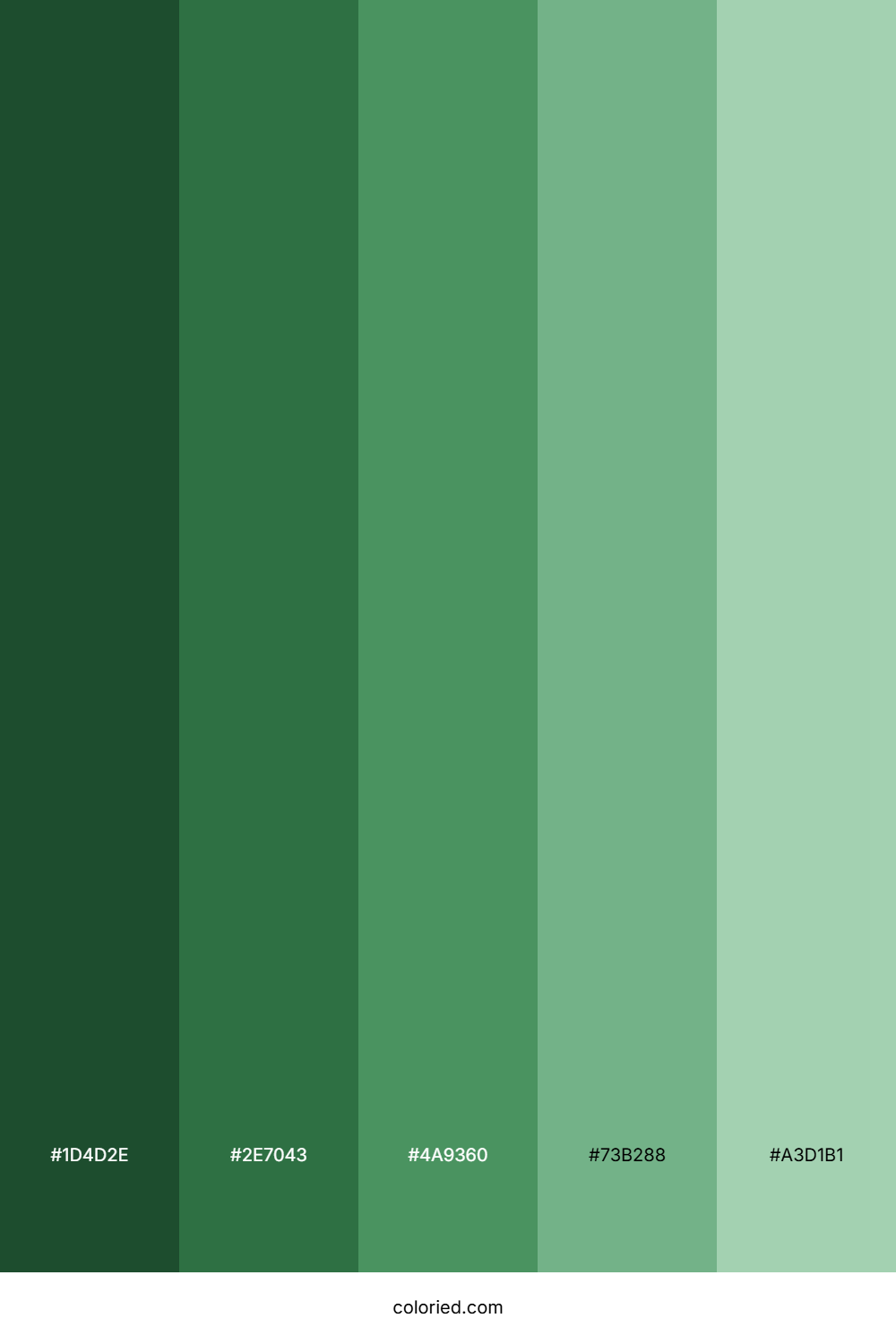 Different Greens Shades Color Palette