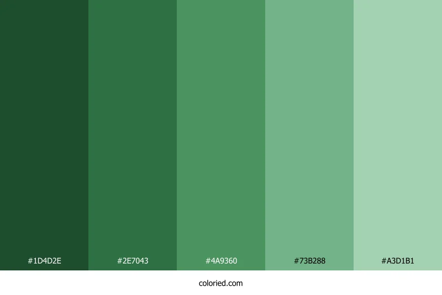 Different Greens Shades Color Palette