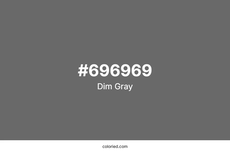 Dim Gray Color Hex Code