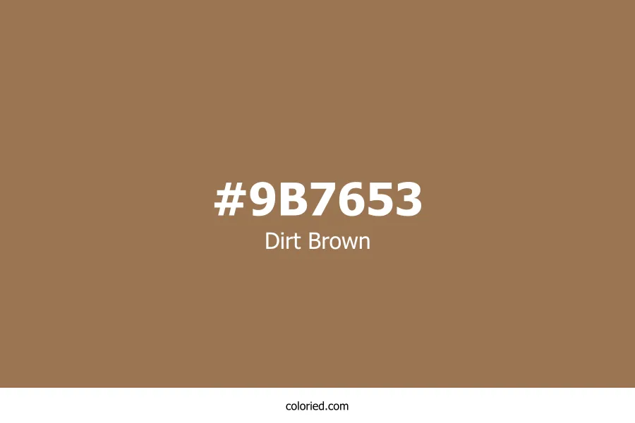 Dirt Brown Color Hex Code