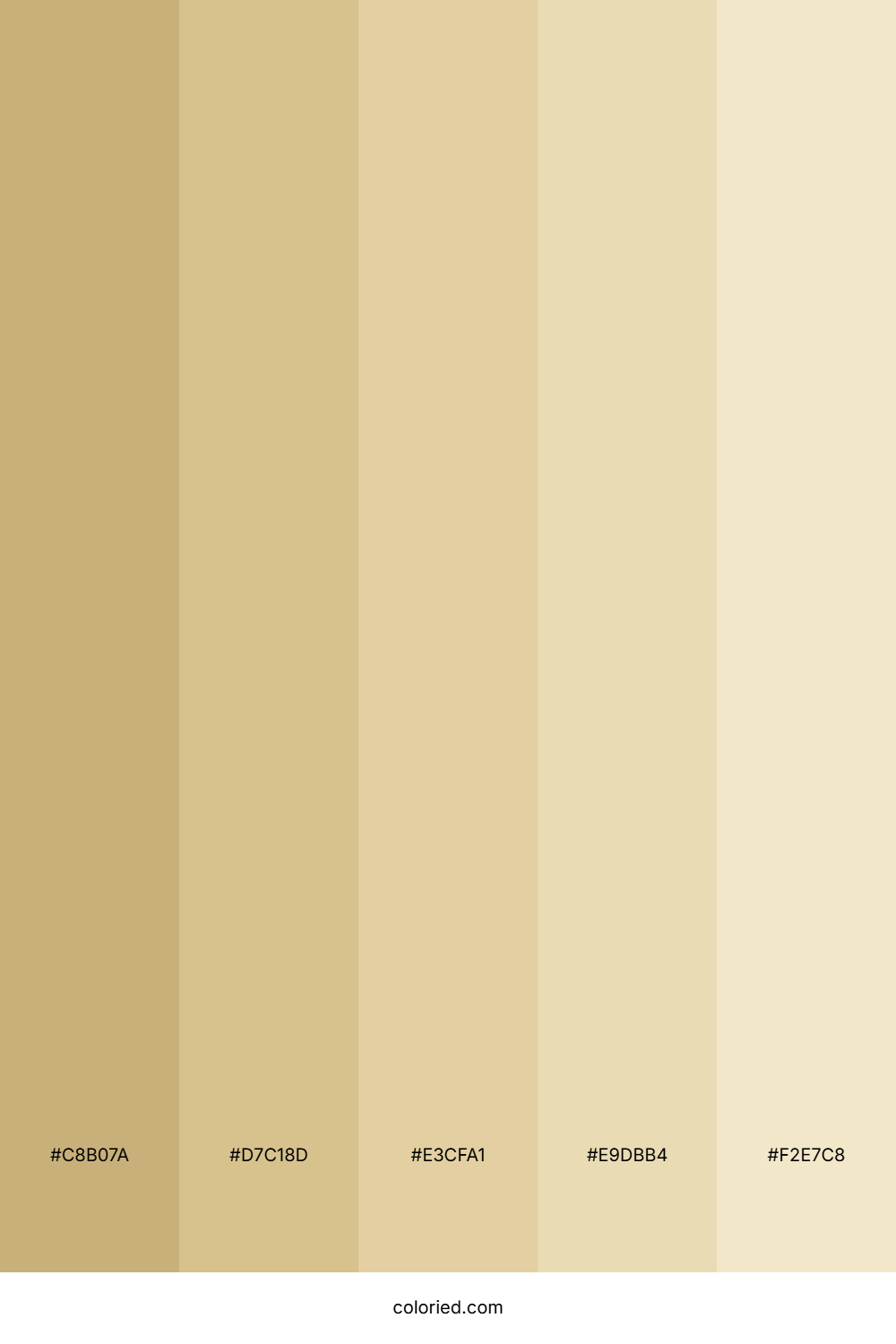 Dirty Blonde Color Palette