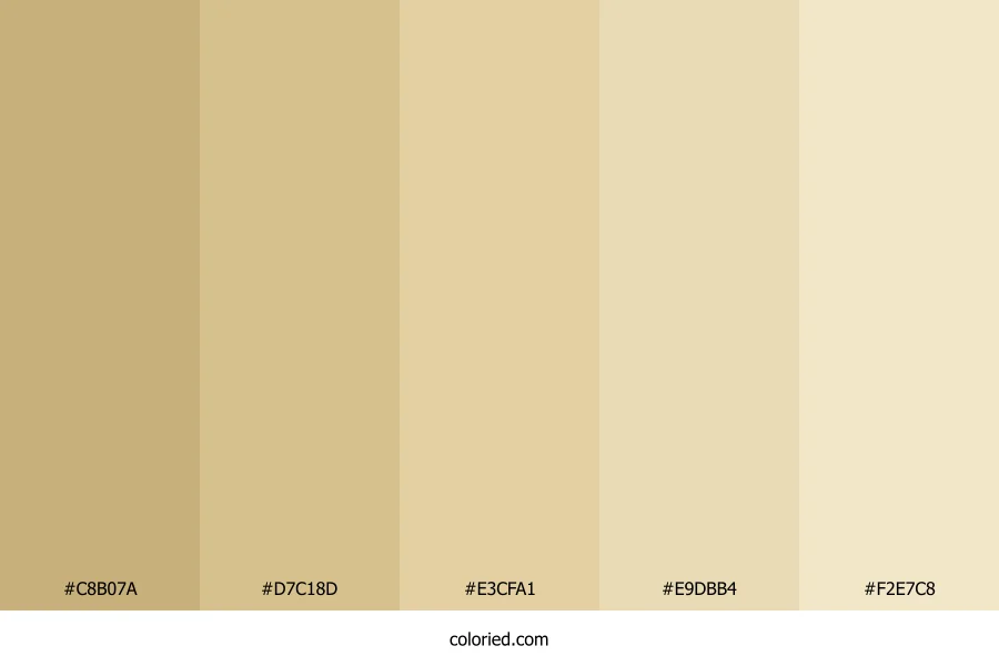 Dirty Blonde Color Palette