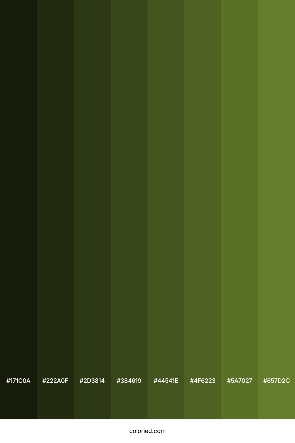 Dirty Green Color Shades
