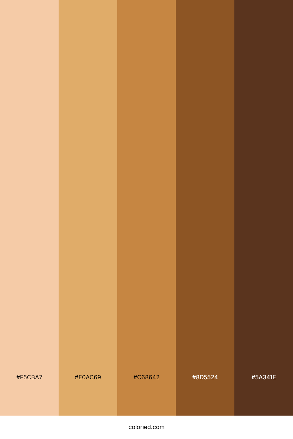Diverse Skin tones Color Palette