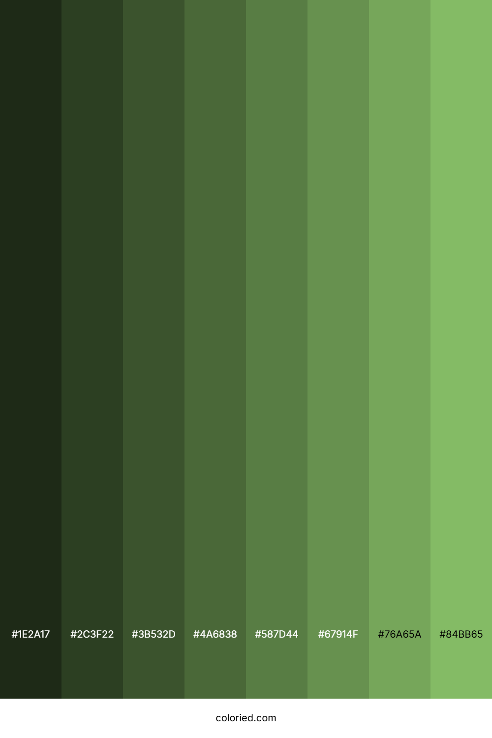Dollar Bill Green Color Shades