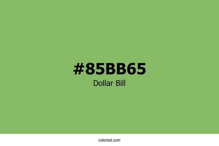 Dollar Bill Color