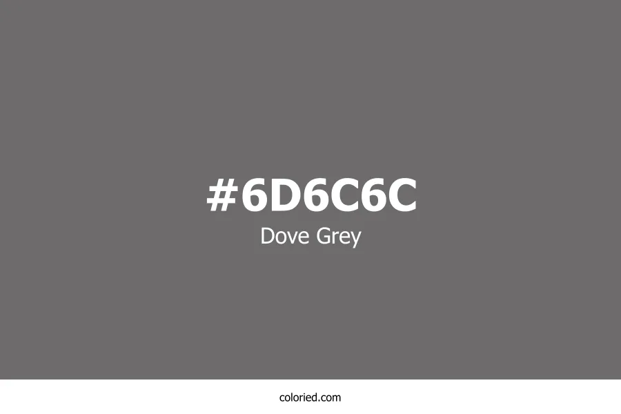 Dove Grey Color