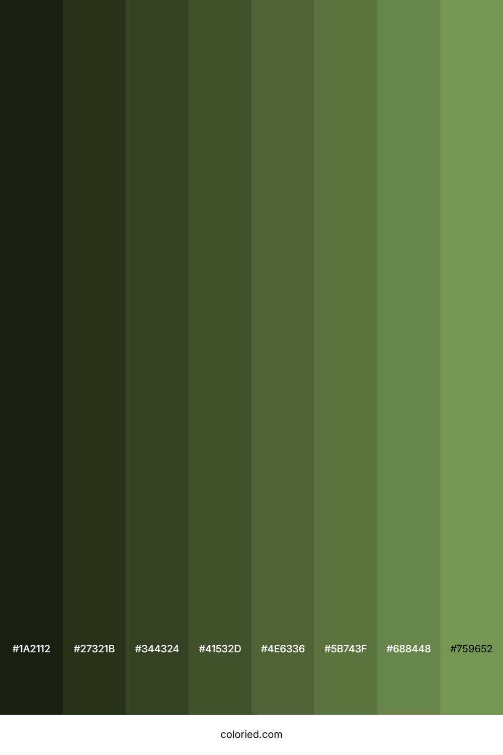 Drab Green Color Shades
