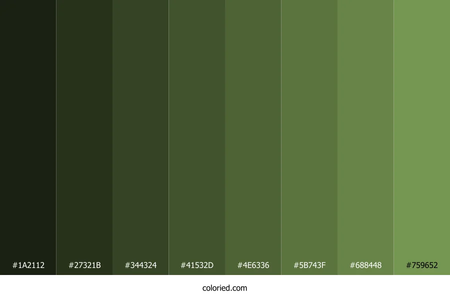 Drab Green Color Shades