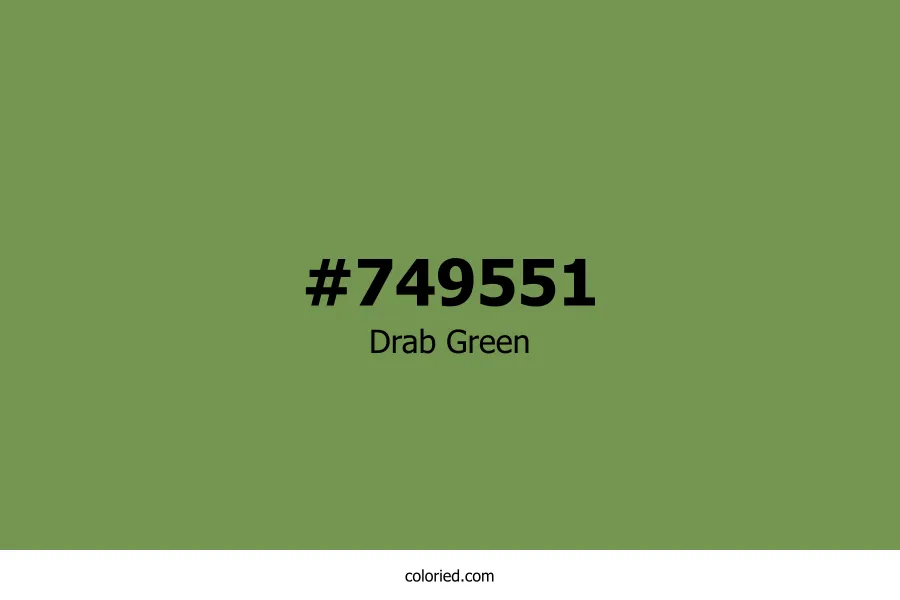 Drab Green Color