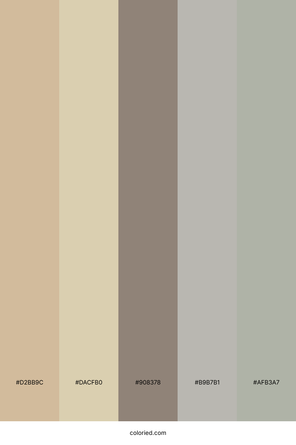 Driftwood and Stone Color Palette