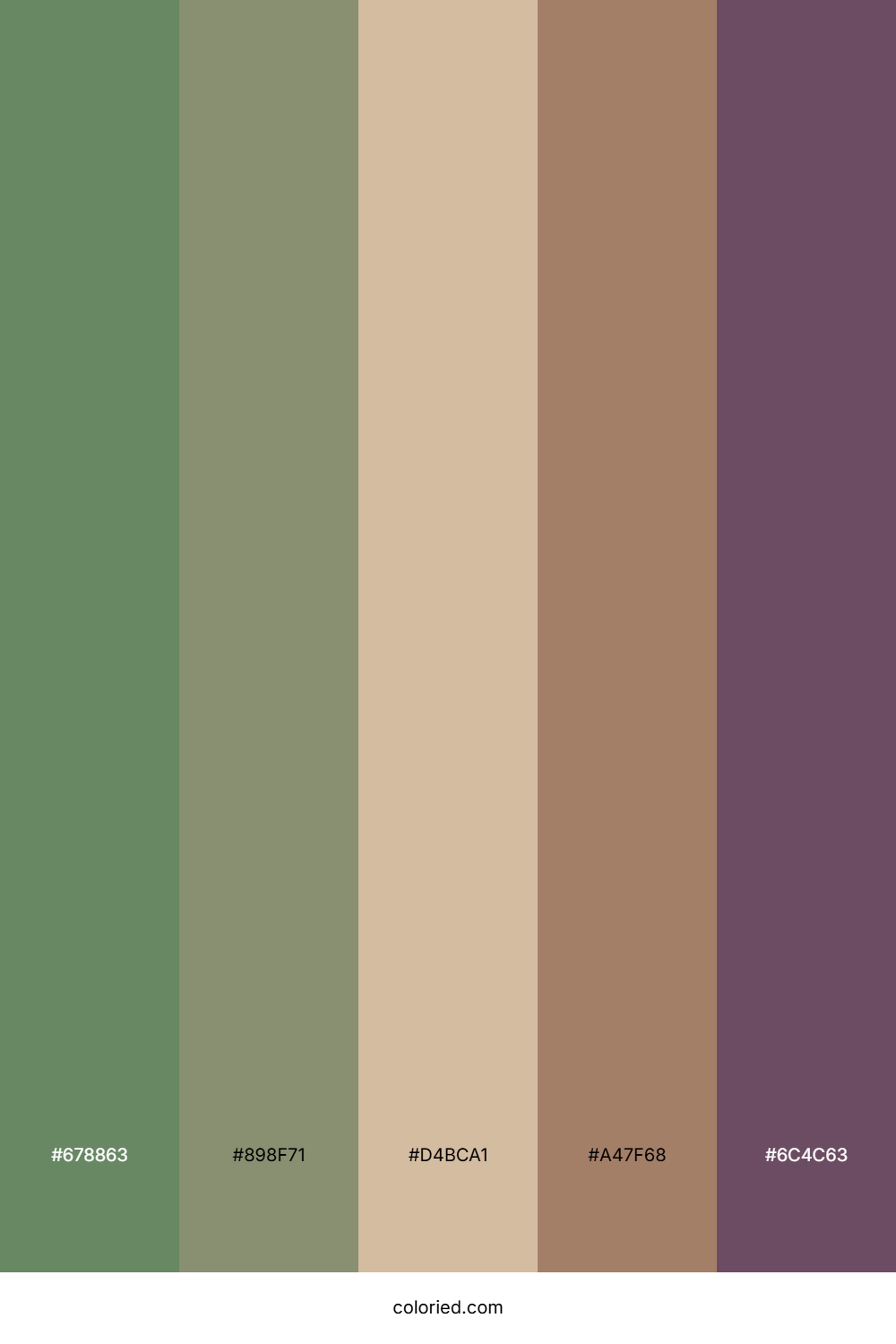 Driftwood Sage Coast Color Palette