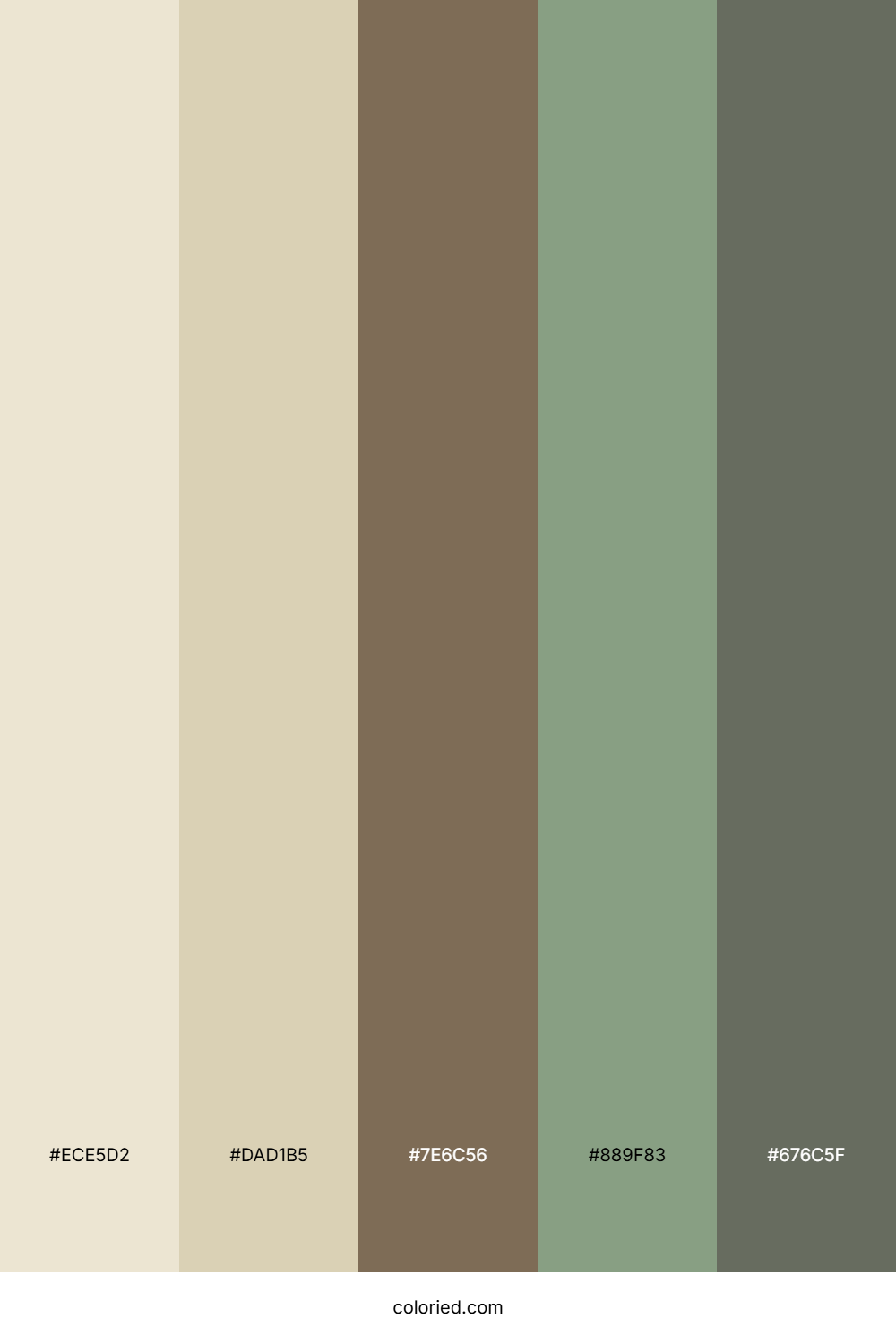 Driftwood Sage Path Color Palette