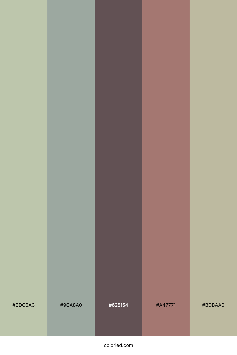 Driftwood Sage Shore Color Palette