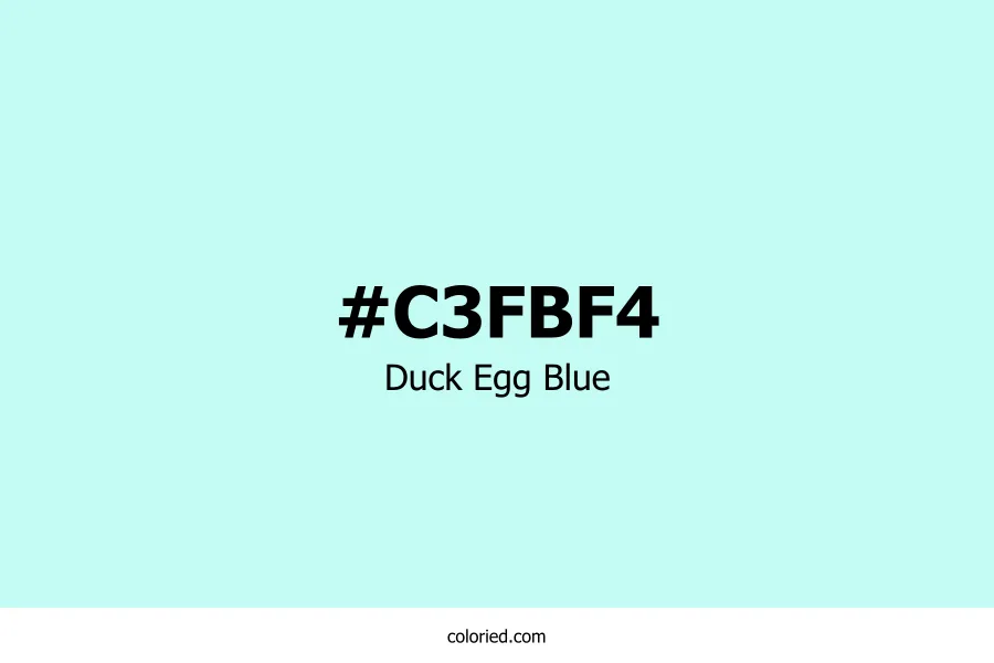 Duck Egg Blue Color