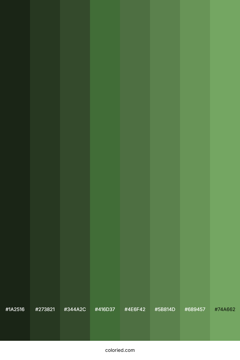 Dull Green Color Shades
