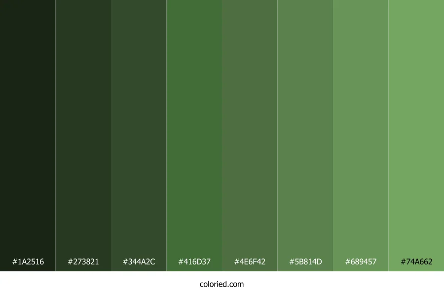 Dull Green Color Shades