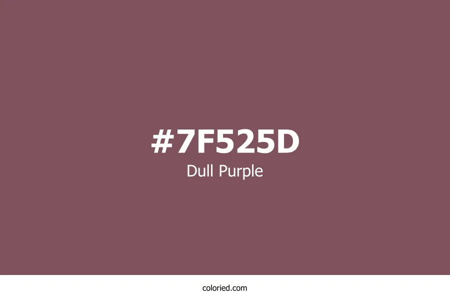 Dull Purple Color