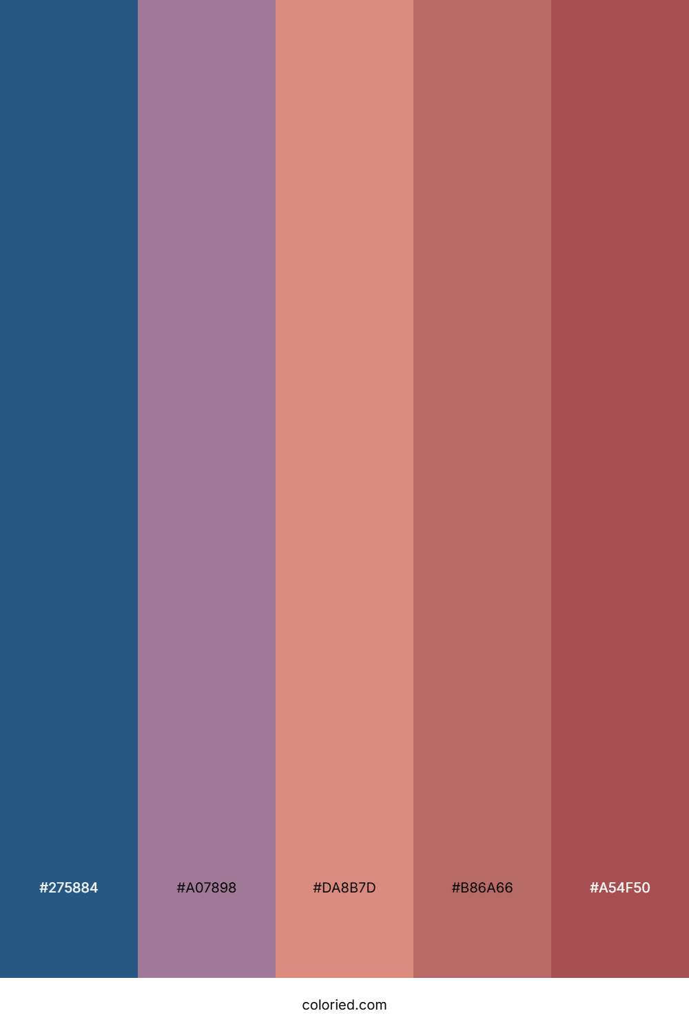 Dusky Rose Horizon Color Palette