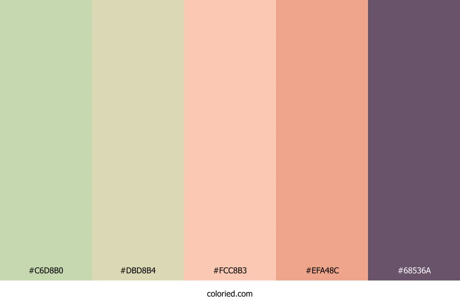 Dusky Rose Sunset Color Palette