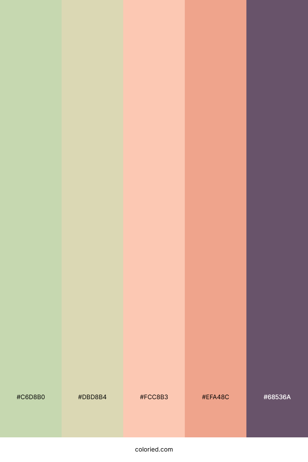 Dusky Rose Sunset Palette