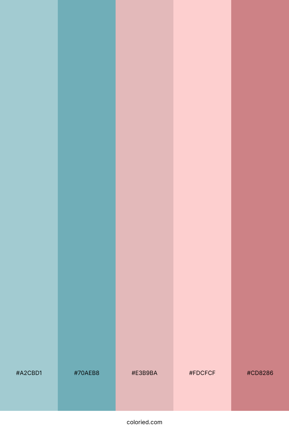 Dusty Blue and Blush Color Palette