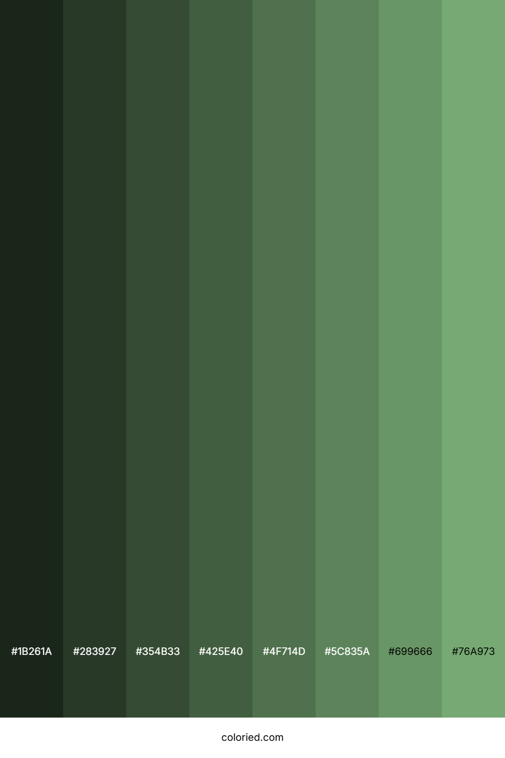 Dusty Green Color Shades