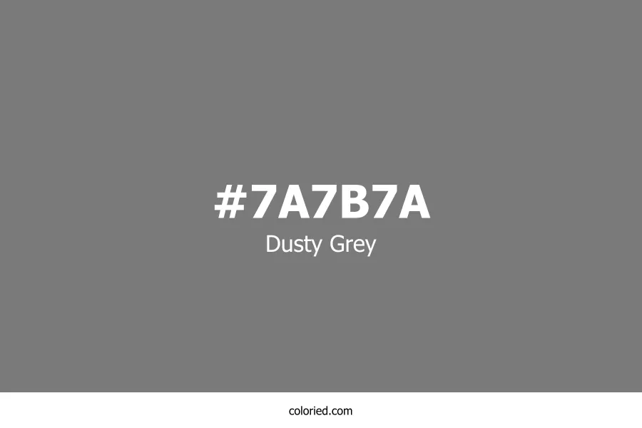 Dusty Grey Color