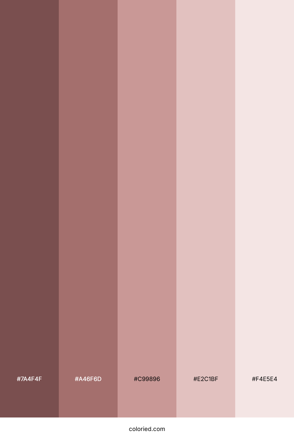 Dusty Pink Brown Color Palette