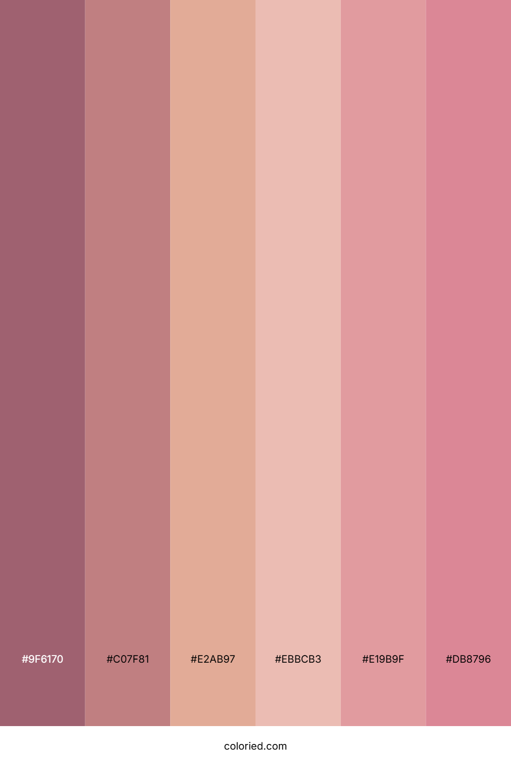 Dusty Rose and Blush Color Palette