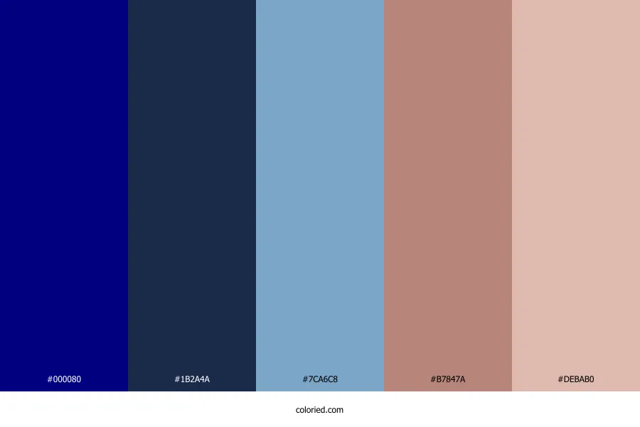 Dusty Rose and Navy Blue Color Palette